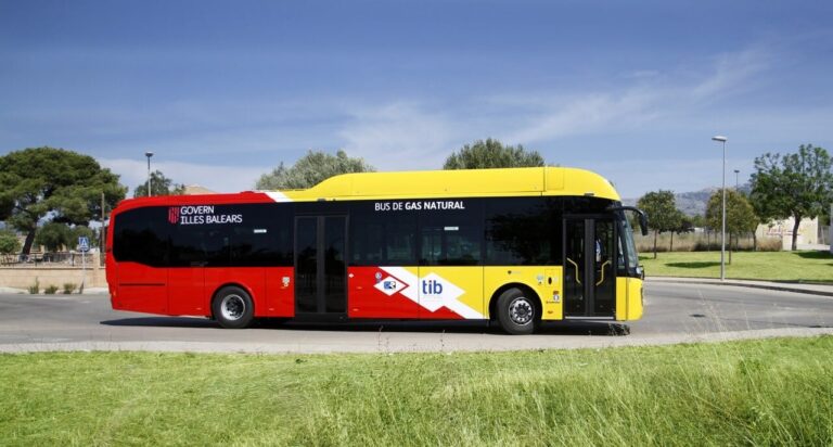 El bus del TIB disposa d’una nova parada al Pla de Na Tesa