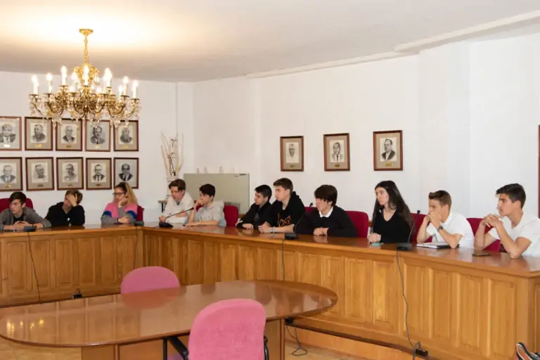 ELS PARTITS POLÍTICS MÉS JOVES