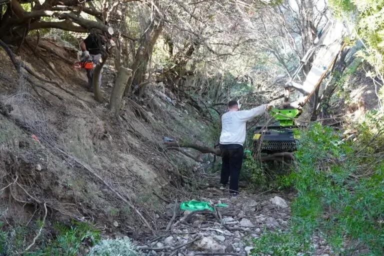 L’Ajuntament neteja 600 metres del torrent de Coanegra per millorar la circulació de l’aigua i evitar taponaments