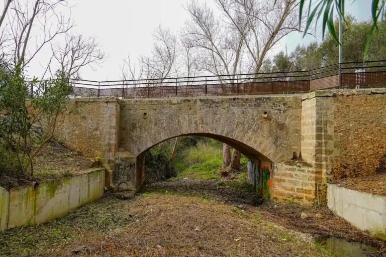 Es Caülls, Son Sales i el torrent de Coanegra