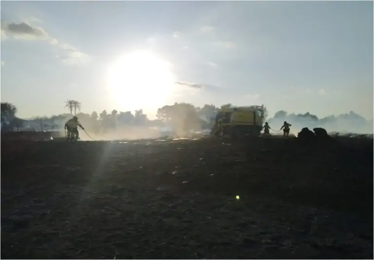 Extingit l’incendi forestal de Son Macià després de cremar 3,2 hectàrees