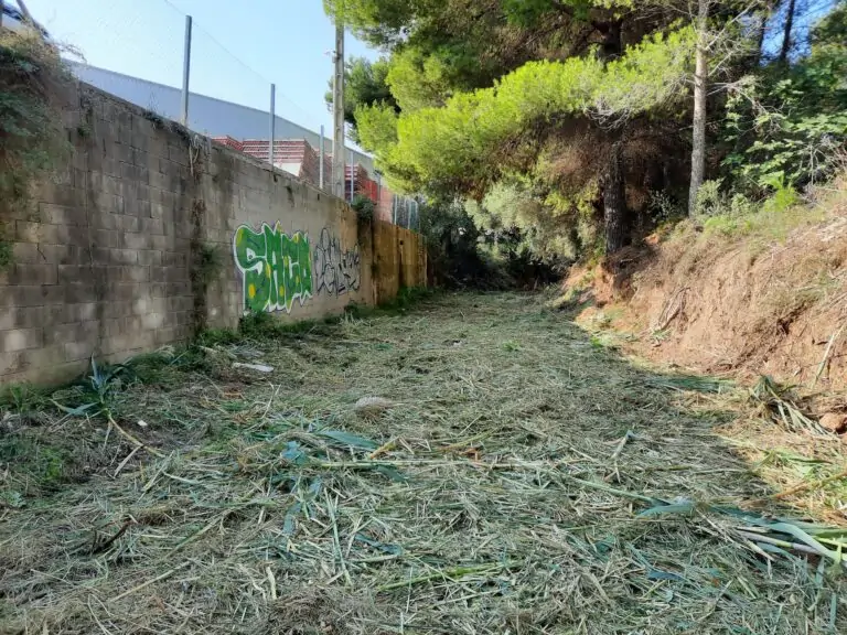 L’Ajuntament avança en la neteja del tram de dos quilòmetres del Torrent de Coanegra