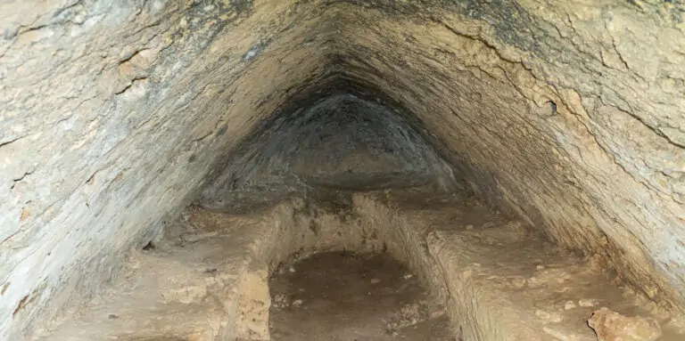 El frontal trepanat d’un nin i uns botons perforats en ‘V’, les restes del primers humans que trepitjaren Marratxí