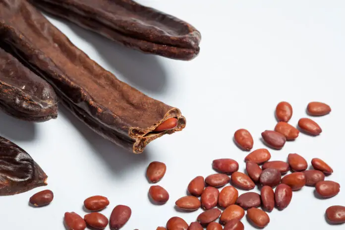 Carob, el secreto más preciado de la industria alimentaria se ‘cocina’ en Marratxí