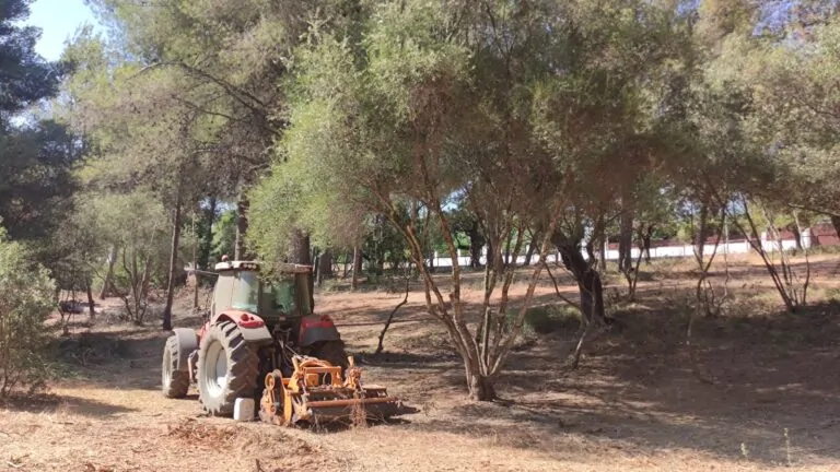 Marratxí saneja els bosquets d’Es Garrovers i Sant Marçal per prevenir incendis i recuperar espais per l’esbarjo veïnal
